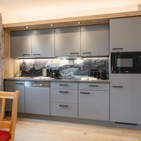 Apartment Apart33 1-28 Haus im Ennstal
